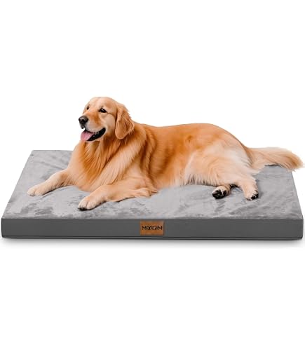 Amazon | アルテア体圧分散マット クリーム LL 犬 介護 マット ベッド